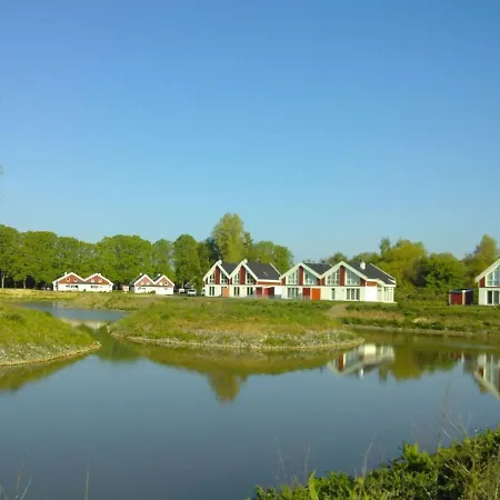 Seestern 1 -